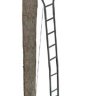 Лабаз с лестницей, приставной к дереву, высота 5,48 м Brotherhood DLX Ladder, RT AP