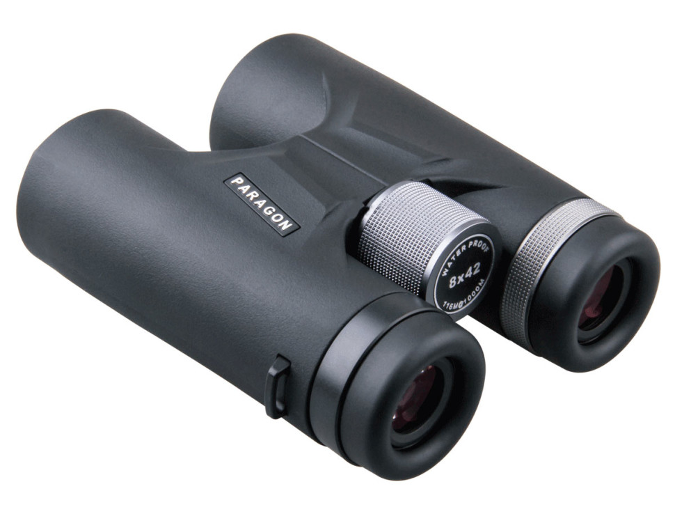 Бинокль Vector Optics Paragon 8x42, Roof-призмы BaK-4, IPX6, чёрный