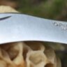 Нож Opinel серии Nature №08 грибной, рукоять - бук