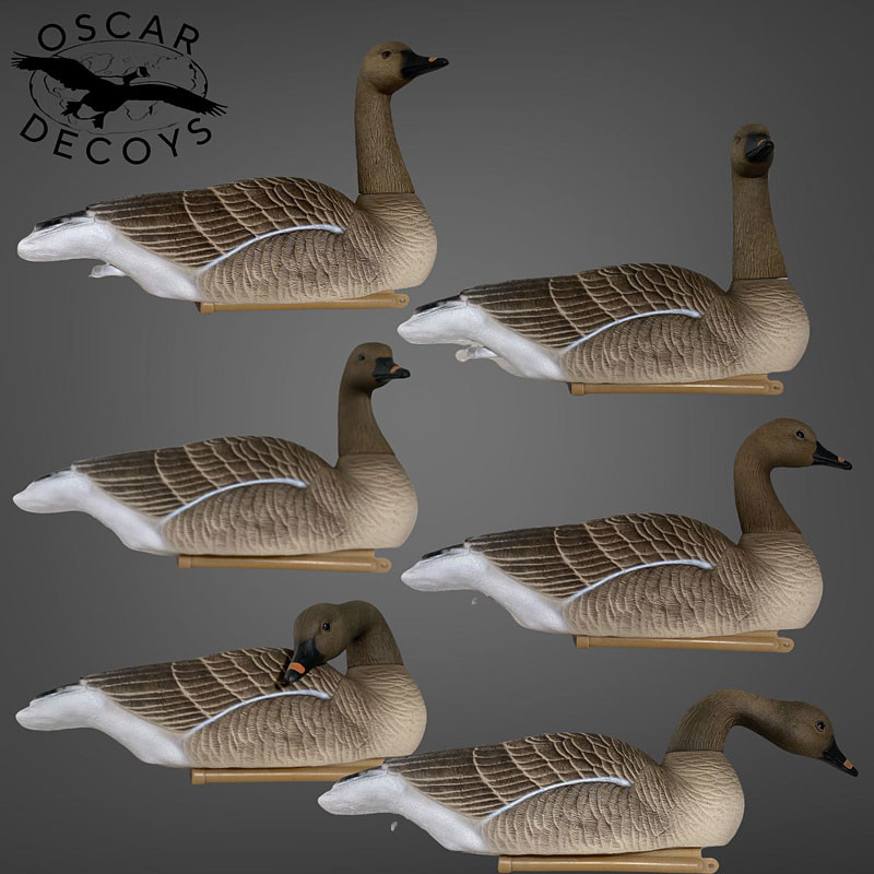 Гуменник гусь Floater Bean Goose 2021